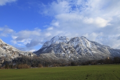 Bum_NST5_4_15Tiff6a_1