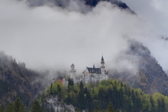 Bum_NeuSchwSt_Nebel6aHD